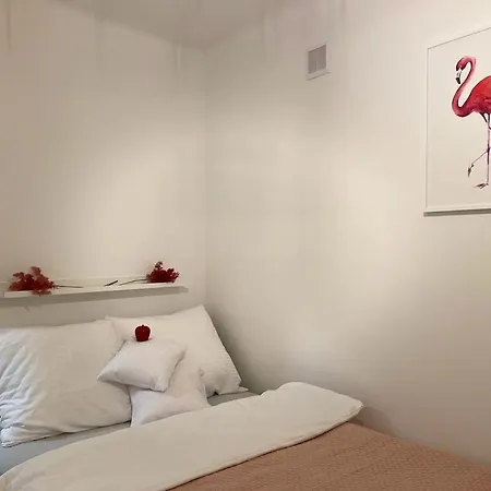 Flamingo *